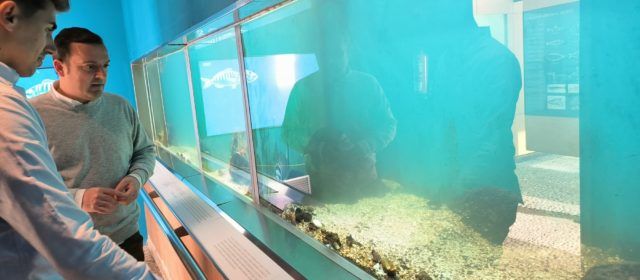 El Museo del Mar de Peñíscola suma más de 63.000 visitantes en 2022
