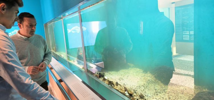 El Museo del Mar de Peñíscola suma más de 63.000 visitantes en 2022 