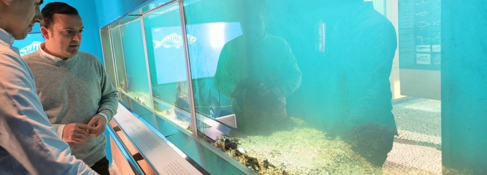 El Museo del Mar de Peñíscola suma más de 63.000 visitantes en 2022 