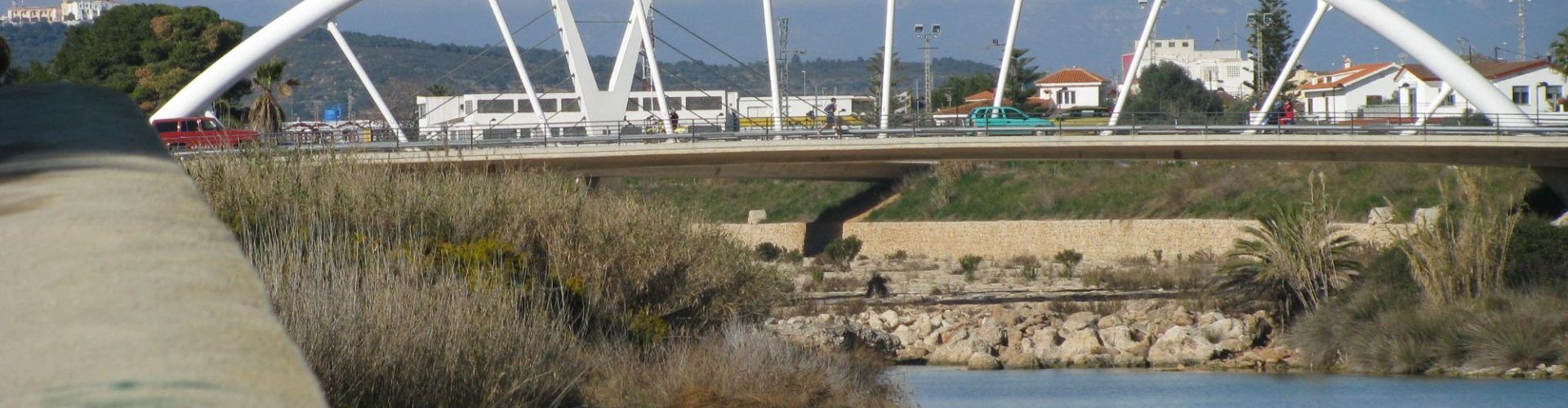 VOX considera que la pasarela sobre el Cervol es un despilfarro