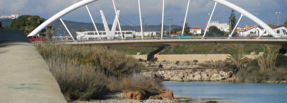 VOX considera que la pasarela sobre el Cervol es un despilfarro