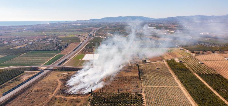 El incendio de poda vegetal, un día después, a vista de dron