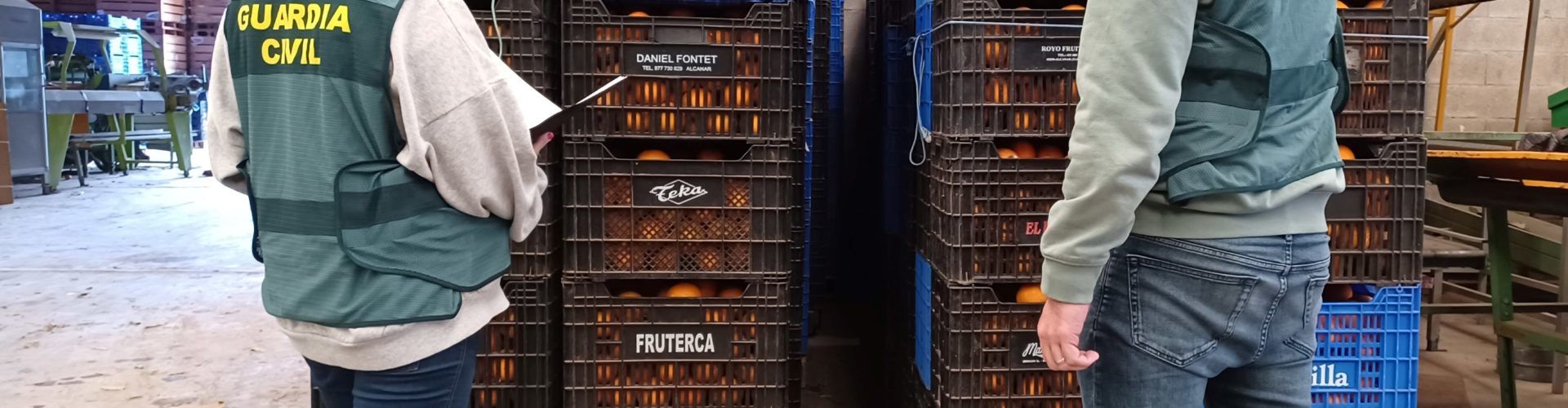 Dos detenidos por presunto hurto y receptación de 4.000 kilos de naranjas en Vinaròs y Sant Jordi