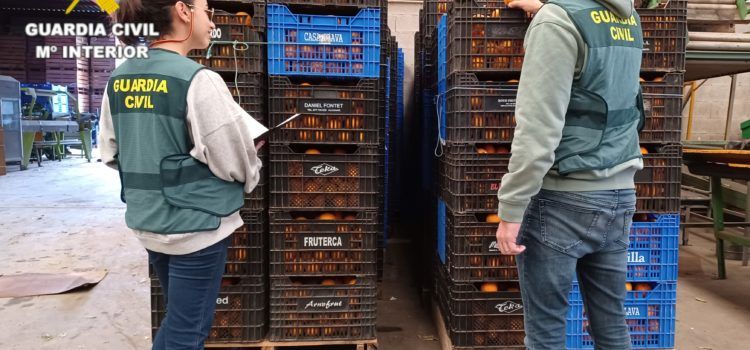 Dos detenidos por presunto hurto y receptación de 4.000 kilos de naranjas en Vinaròs y Sant Jordi
