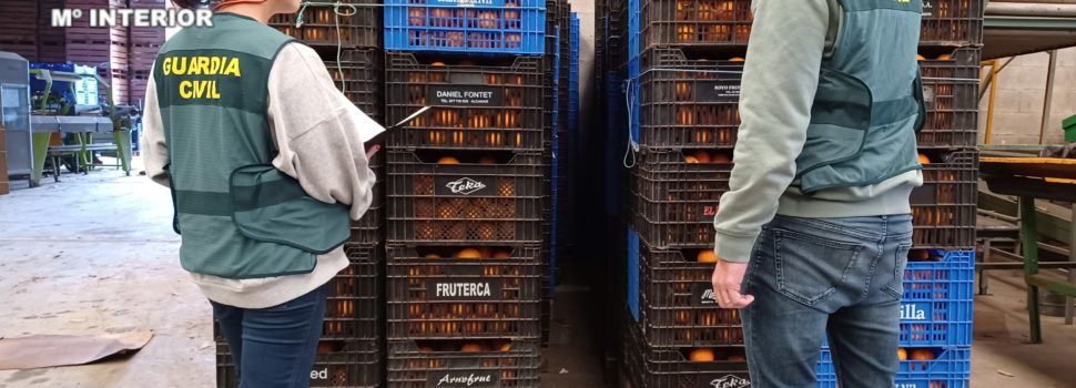 Dos detenidos por presunto hurto y receptación de 4.000 kilos de naranjas en Vinaròs y Sant Jordi