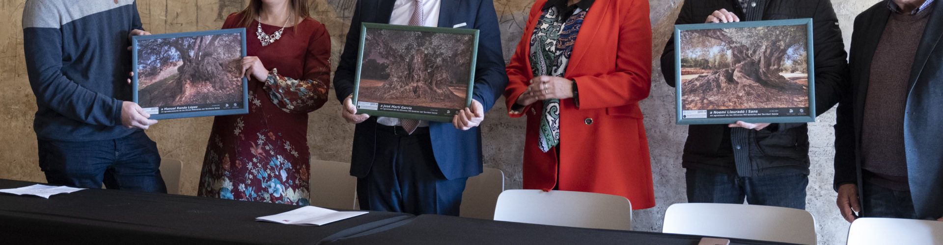 José Martí aplaudeix la labor divulgadora de les oliveres mil·lenàries de la província realitzada per la Taula del Sénia