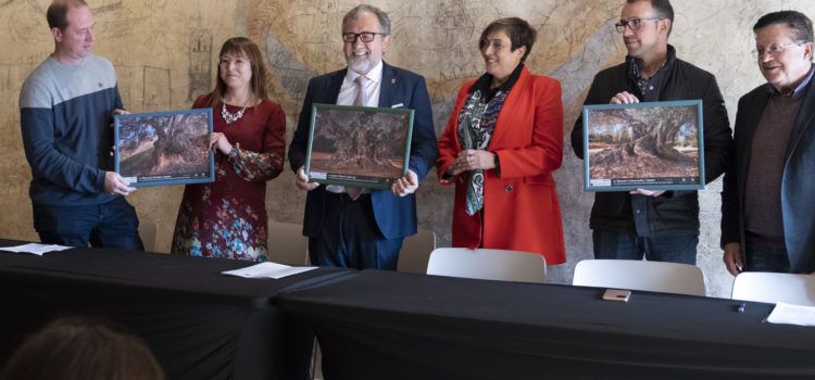 José Martí aplaudeix la labor divulgadora de les oliveres mil·lenàries de la província realitzada per la Taula del Sénia