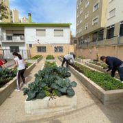 Els centres educatius de Vinaròs participen en el projecte Ecoescoles