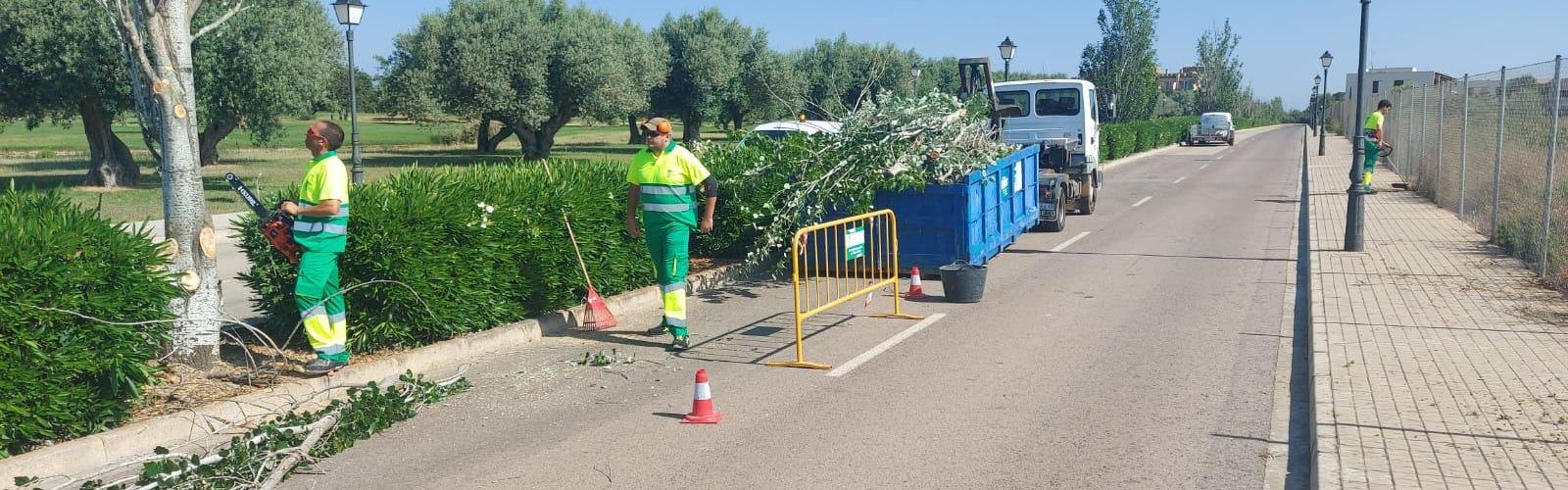 El Ayuntamiento de Sant Jordi aprueba 21.000€ para instalar puntos de recarga eléctrica para vehículos en Panorámica