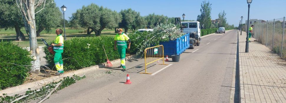 El Ayuntamiento de Sant Jordi aprueba 21.000€ para instalar puntos de recarga eléctrica para vehículos en Panorámica