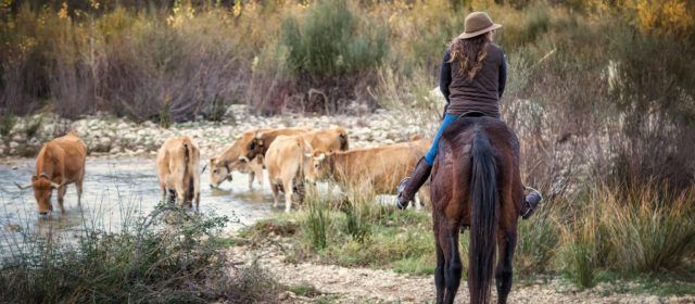 “Trashumancia” de David Piqueras guanya el Premi de Fotografia Dones de l’Ajuntament de Peníscola