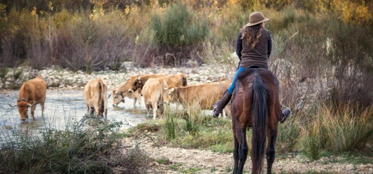 “Trashumancia” de David Piqueras guanya el Premi de Fotografia Dones de l’Ajuntament de Peníscola