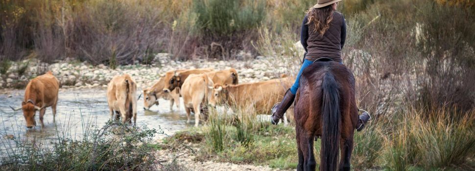 “Trashumancia” de David Piqueras guanya el Premi de Fotografia Dones de l’Ajuntament de Peníscola