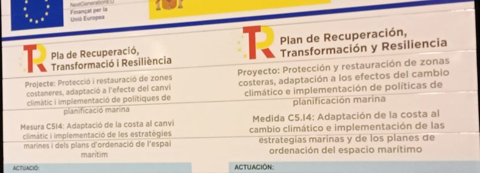 Ciudadanos Benicarló reclama acciones reales para proteger la costa norte