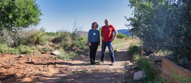 Herrera (PSPV-PSOE) afirma que el sector agrícola serà un eix prioritari en el futur govern d’Alcalà-Alcossebre