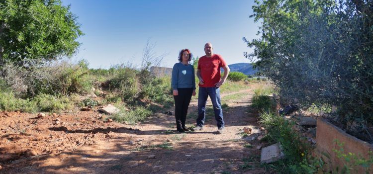 Herrera (PSPV-PSOE) afirma que el sector agrícola serà un eix prioritari en el futur govern d’Alcalà-Alcossebre