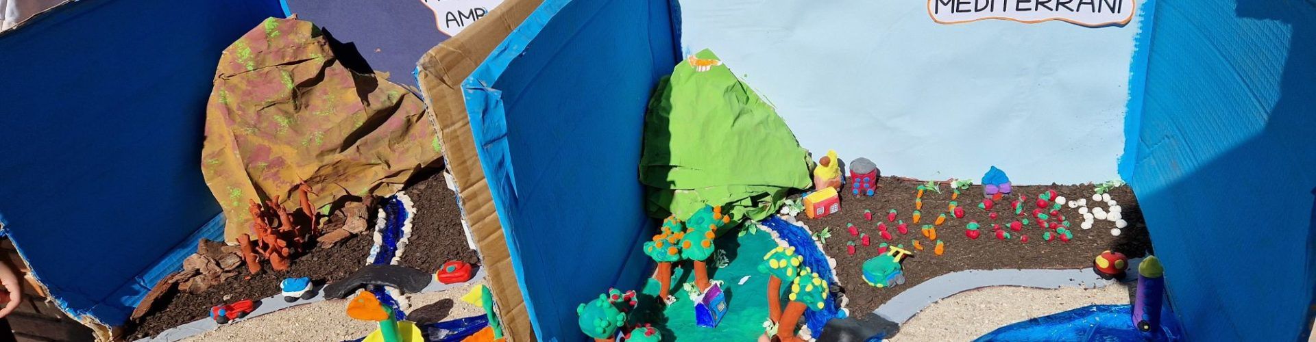 El CEIP Assumpció tanca el seu projecte sobre sostenibilitat i medi ambient