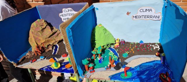 El CEIP Assumpció tanca el seu projecte sobre sostenibilitat i medi ambient