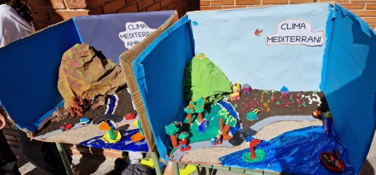 El CEIP Assumpció tanca el seu projecte sobre sostenibilitat i medi ambient