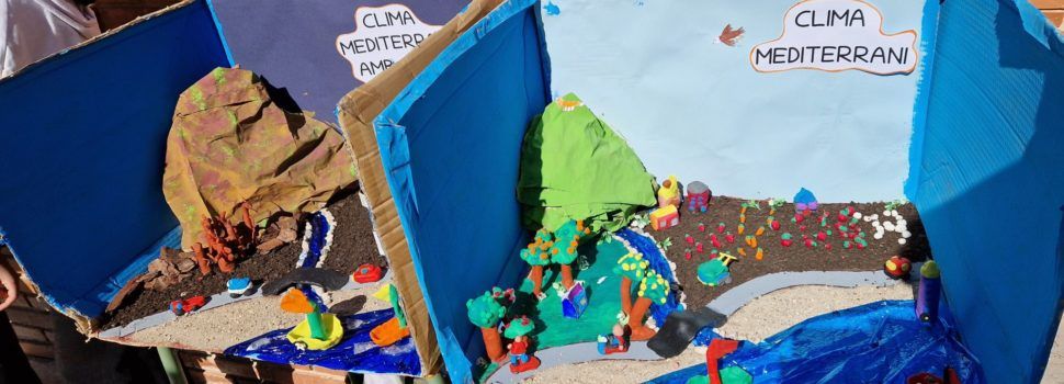 El CEIP Assumpció tanca el seu projecte sobre sostenibilitat i medi ambient