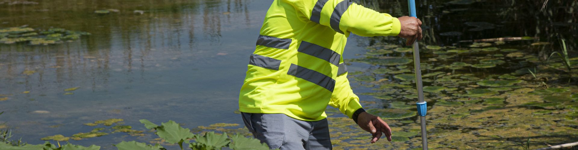 La Diputació de Castelló focalitzarà les seues actuacions contra els mosquits en el litoral nord i en les zones habitualment conflictives
