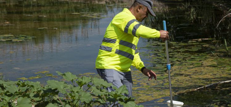 La Diputació de Castelló focalitzarà les seues actuacions contra els mosquits en el litoral nord i en les zones habitualment conflictives