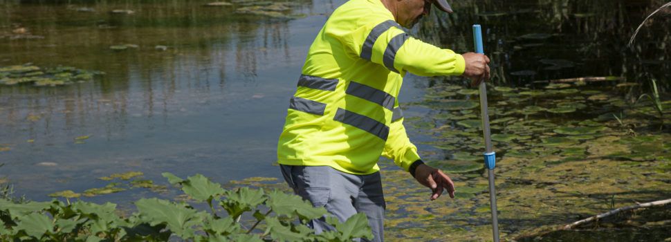 La Diputació de Castelló focalitzarà les seues actuacions contra els mosquits en el litoral nord i en les zones habitualment conflictives