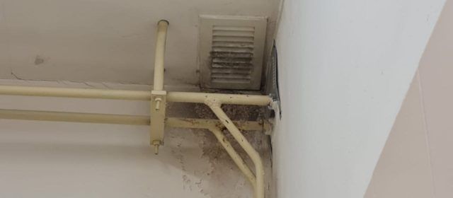 El AMPA del CEIP Marqués de Benicarló denuncia la masificación del centro y deterioro de instalaciones
