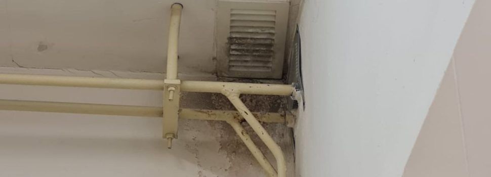 El AMPA del CEIP Marqués de Benicarló denuncia la masificación del centro y deterioro de instalaciones