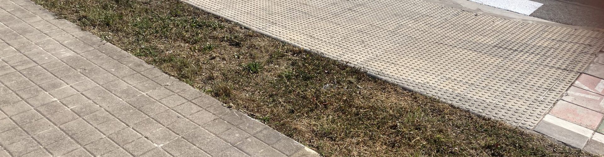 Un extraño paso de peatones