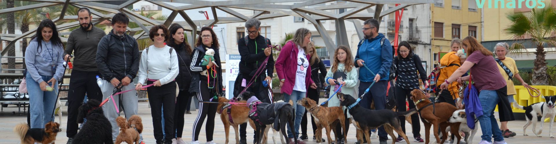 Viure per Vinaròs reclama la posada en marxa de la Taula de Benestar Animal