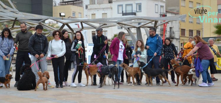 Viure per Vinaròs reclama la posada en marxa de la Taula de Benestar Animal
