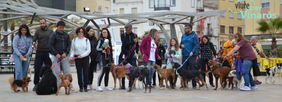 Viure per Vinaròs reclama la posada en marxa de la Taula de Benestar Animal