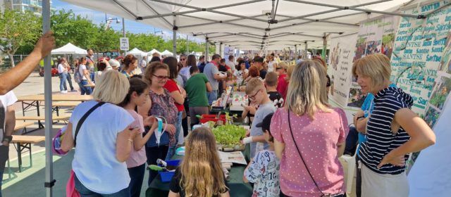 Fotos de la 59 Fira Agromoció de Vinaròs