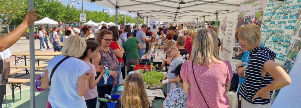 Fotos de la 59 Fira Agromoció de Vinaròs