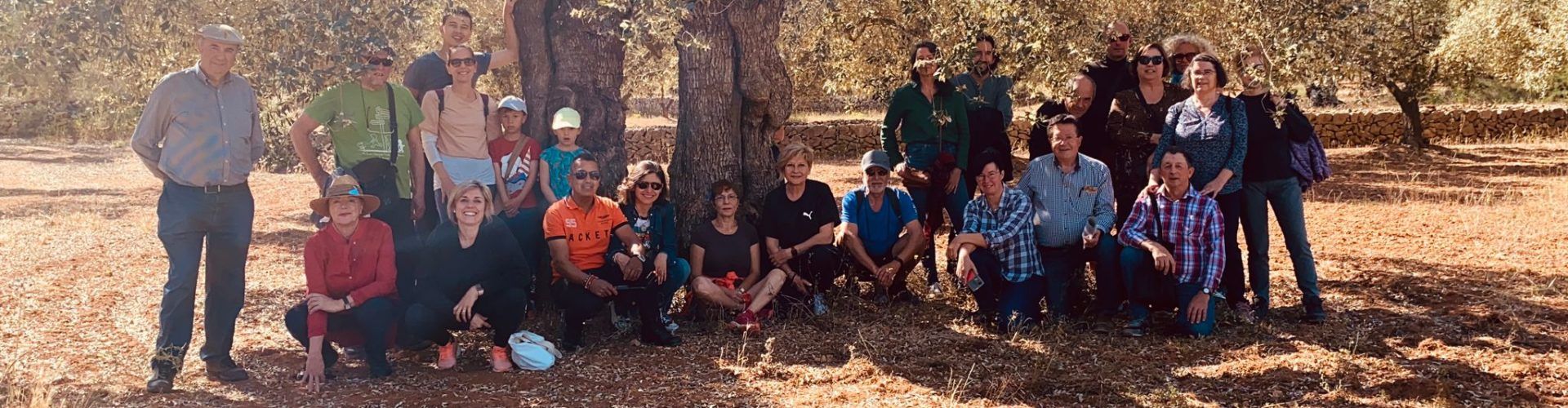 Èxit de la iniciativa creada al voltant de la flor de l’olivera al territori Sénia