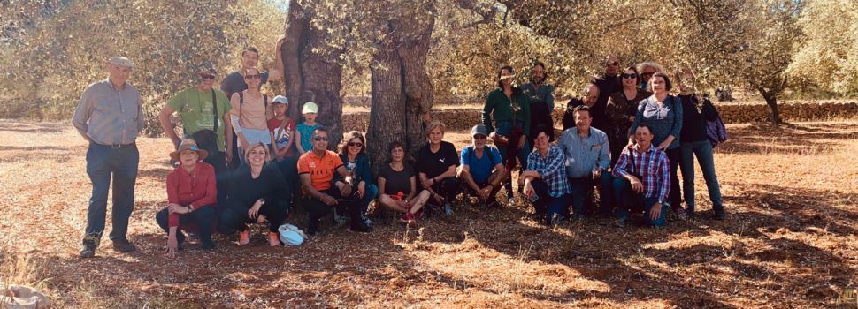 Èxit de la iniciativa creada al voltant de la flor de l’olivera al territori Sénia