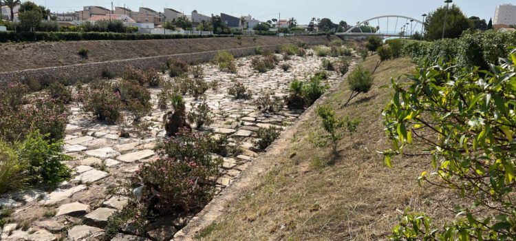 La Regidoria d’Obres i Serveis neteja i desbrossa el talús del riu Cervol