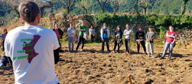 Àlex Torres Tomàs, Fermín Sales Segarra i Connecta Natura guanyen els Premis Maestrat Viu a la iniciativa anual 2023