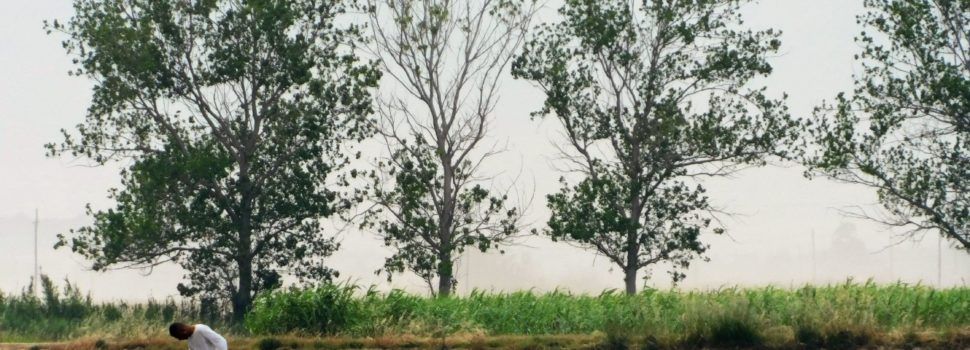 Fotos: Temps de sembra de la incertesa al Delta de l’Ebre