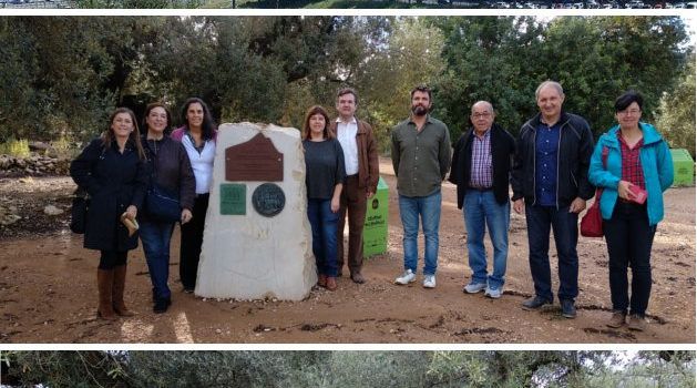 La Taula del Sénia recollirà a Roma el 22 de maig el reconeixement del SIPAM “Oliveres mil·lenàries Territori Sénia”