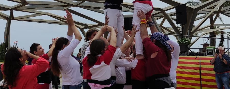 La Muixeranga de Vinaròs arranca la desena temporada recuperant antics membres