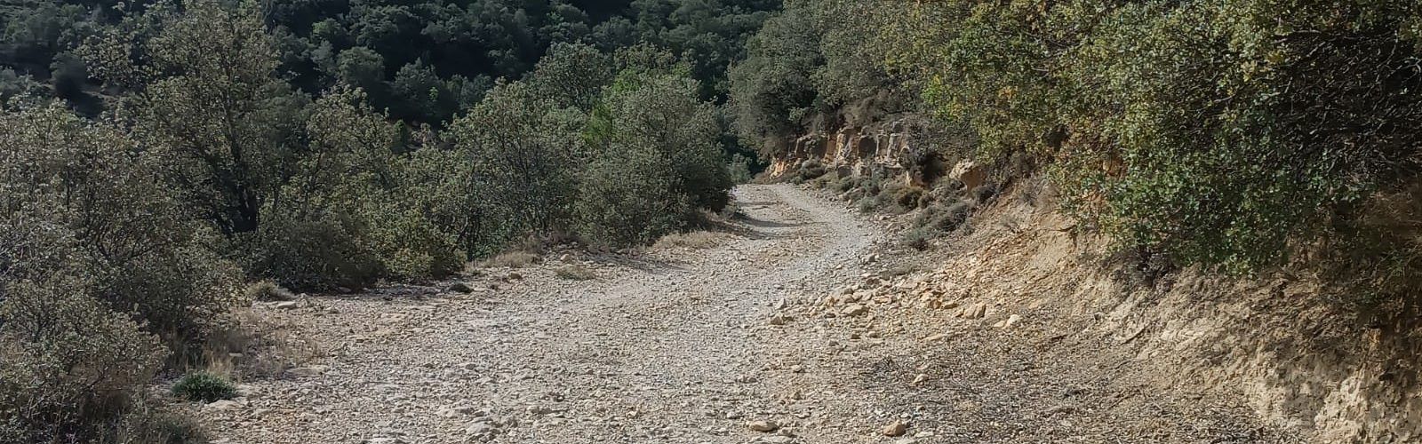 Actuacions del pla de prevenció d’incendis forestals de Morella a La Llàcua i Torre Enguaita