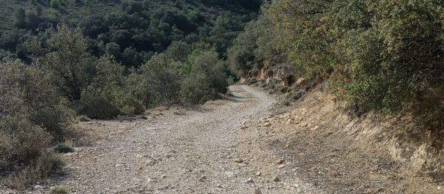 Actuacions del pla de prevenció d’incendis forestals de Morella a La Llàcua i Torre Enguaita