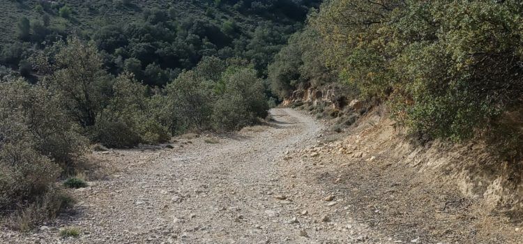 Actuacions del pla de prevenció d’incendis forestals de Morella a La Llàcua i Torre Enguaita