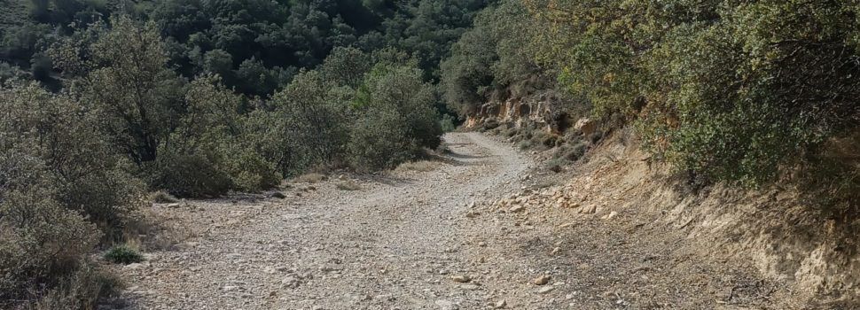 Actuacions del pla de prevenció d’incendis forestals de Morella a La Llàcua i Torre Enguaita