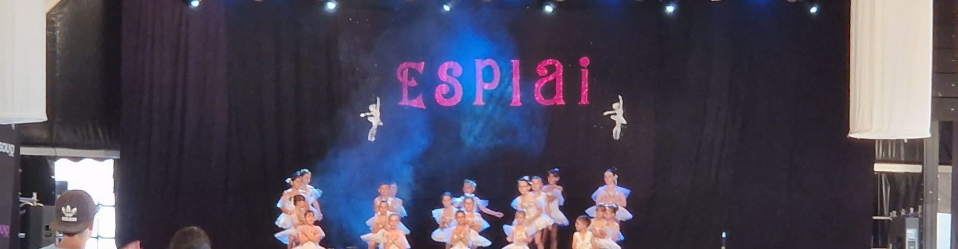 Dia de festivals en les festes de Sant Joan i Sant Pere
