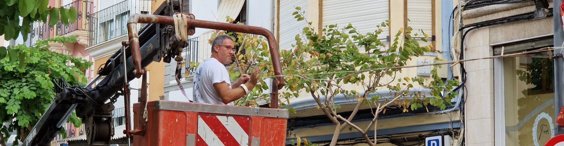 Cada tarda, a instal·lar la traca
