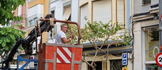 Cada tarda, a instal·lar la traca