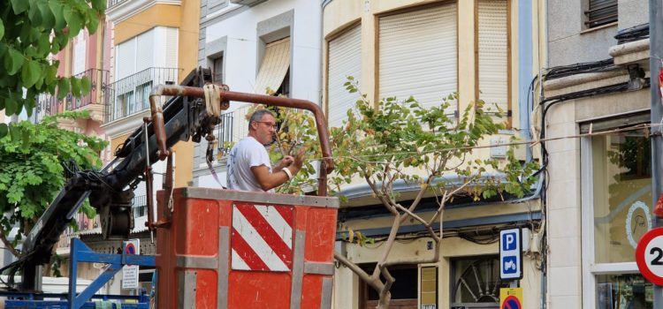 Cada tarda, a instal·lar la traca